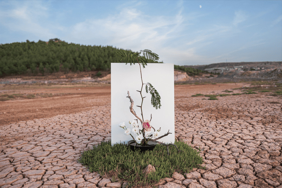 COP31’de üniversite öğrencilerine akademik görev